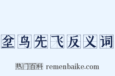 坌鸟先飞反义词是什么意思的图片
